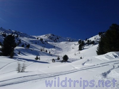 Ski and snow: freeride in the Italian Alps