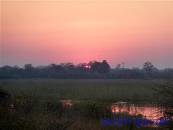 Zambesi River Dawn