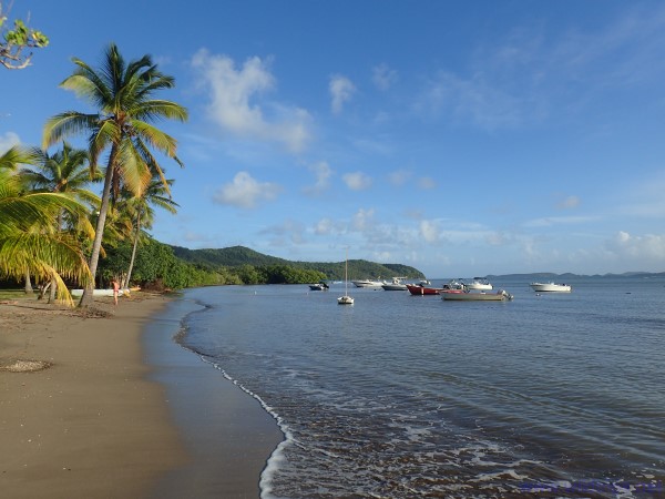 Caravelle Peninsula, Martinique