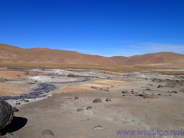 Geysir del Tatio, Atacama