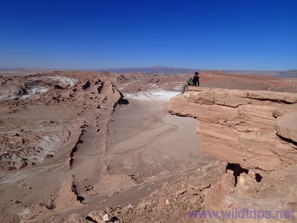 Sospesi sulla Valle della Luna, Atacama