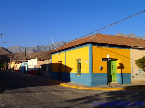 Vicuna, Valle Elqui, Cile