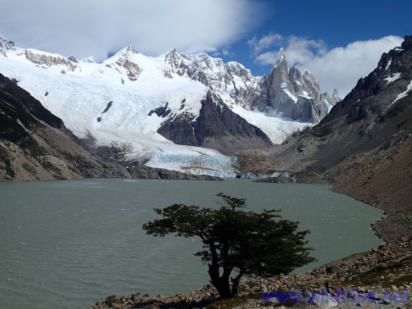 Cerro Torre, Patagonia Argentina