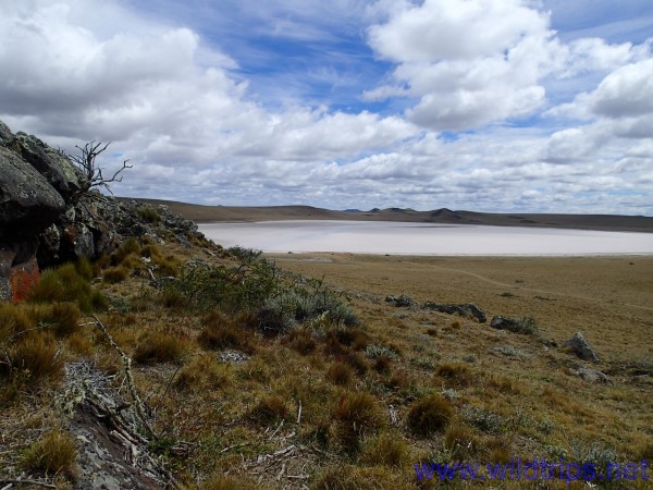 Pali Aike, Patagonia, Cile