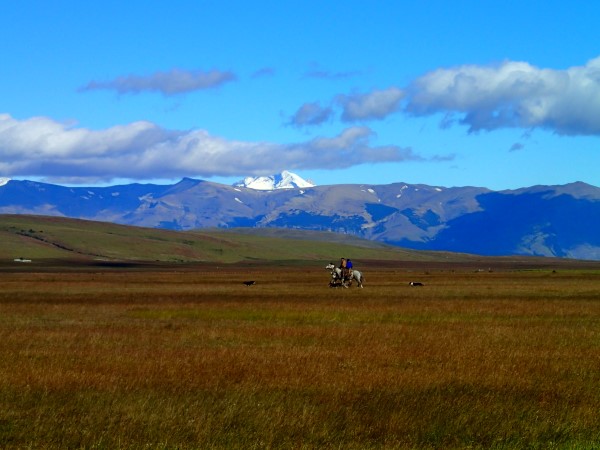 Cowboy a cavallo in Patagonia
