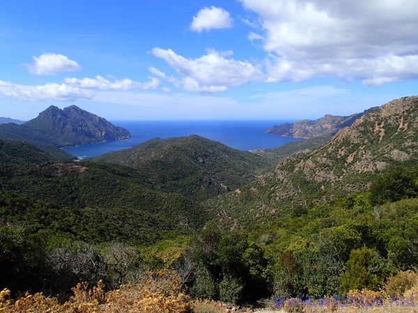 Riserva di Scandola, Corsica