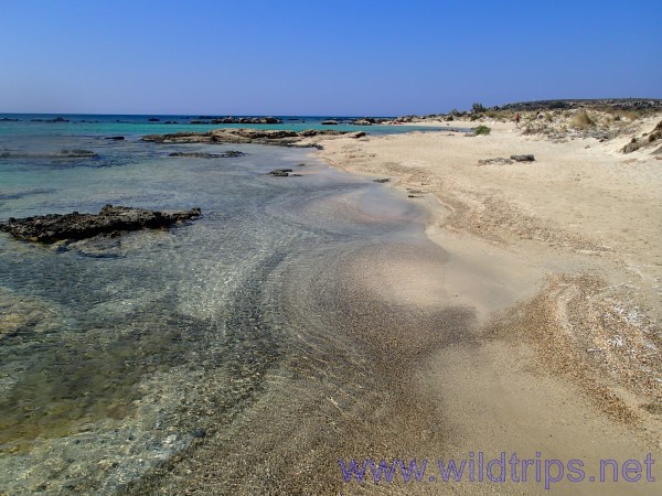 Spiaggia di Elafonissi, Creta