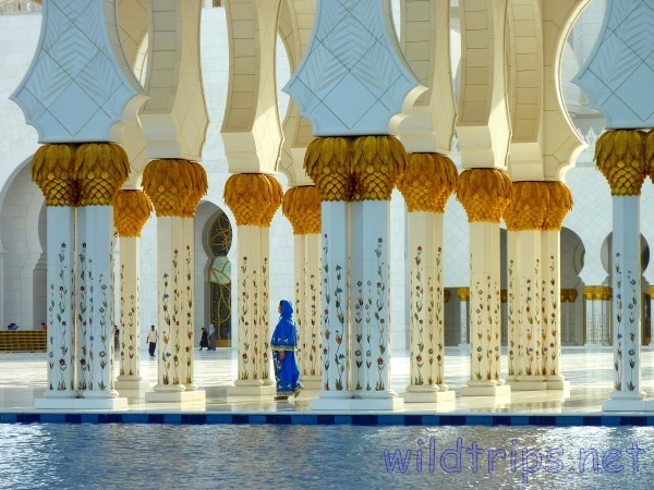 Abu Dhabi Mosque