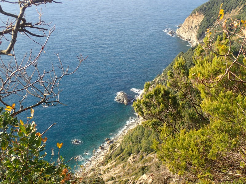 Punta Mesco, Liguria