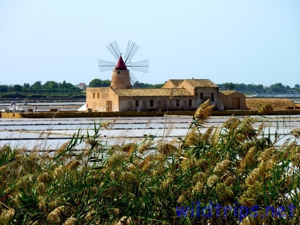 Windmill and salt pans