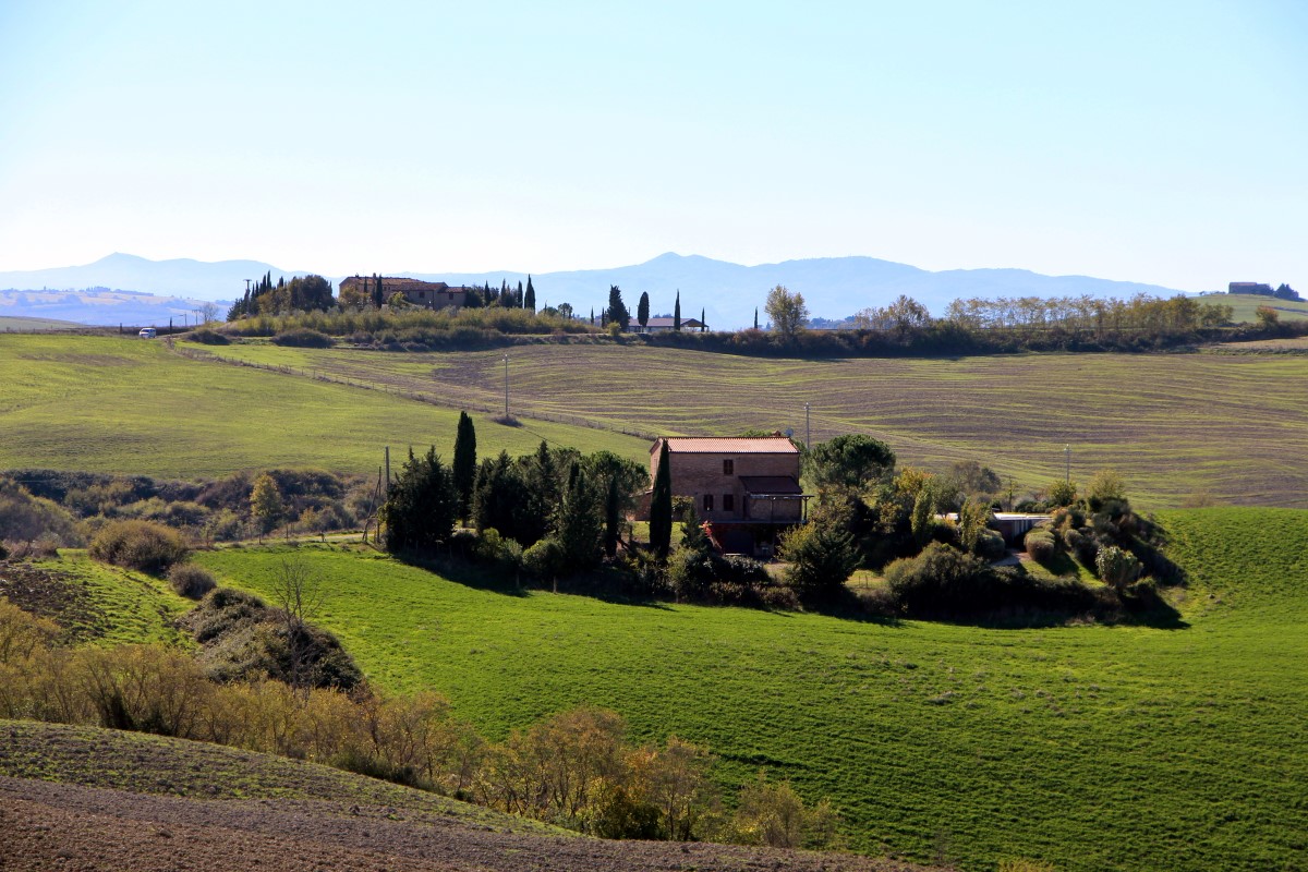 Un campo sulle colline della Toscana, vicino a Siena