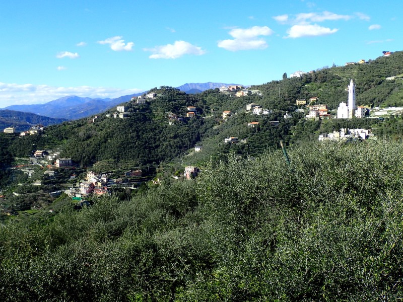 Sentiero dell'ardesia tra Lavagna e Cogorno