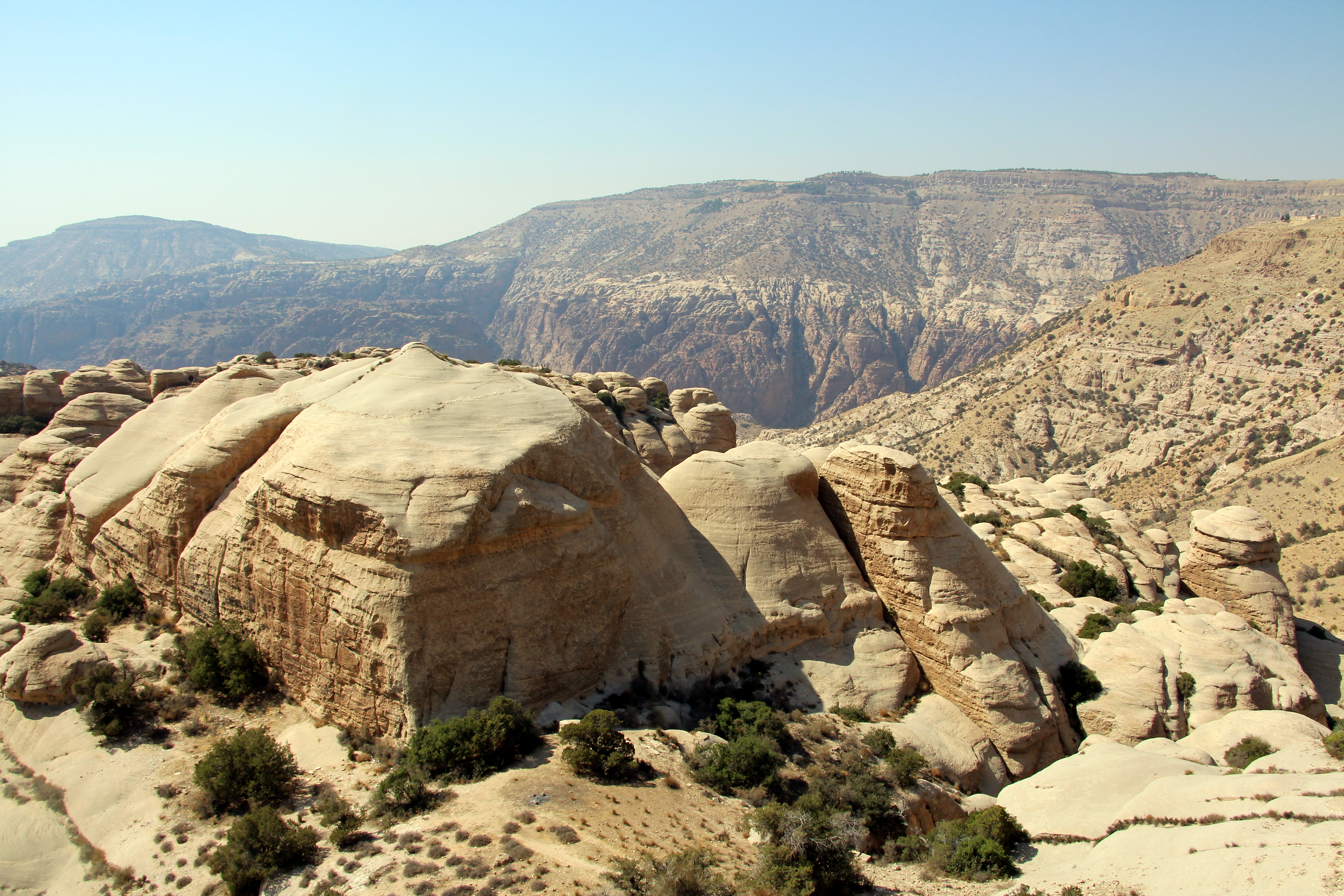 Dana Reserve, Jordan