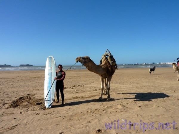 Essaouira surf