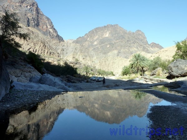 Oman Wadi Bani Auf