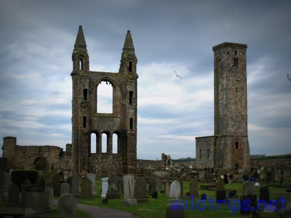 Cattedrale di Saint Andrews