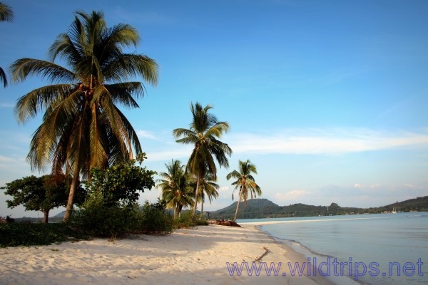 Spiaggia a Ko Yao Yai, isola nella baia di Phang Nga, Thailandia del sud