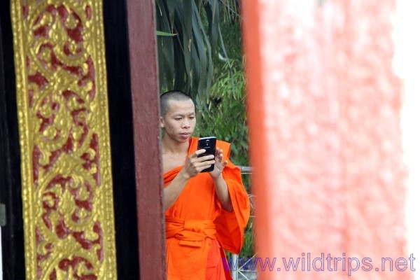 Monk in Luang Prabang, Laos