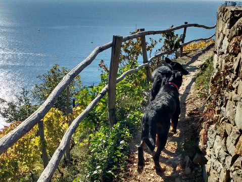 Sentiero Riomaggiore Monesteroli Portovenere coi cani