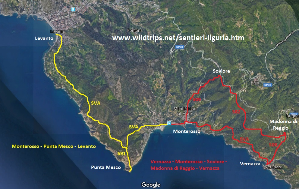 Cartina dei sentieri di Monterosso e Levanto