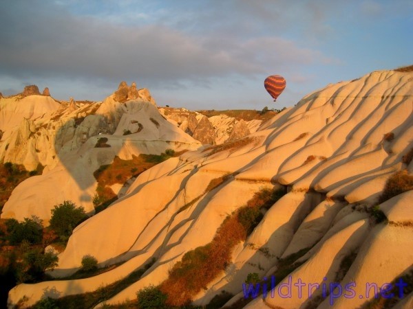 Cappadocia hot-air balloon