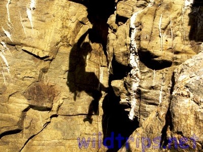 Free climber's shadow