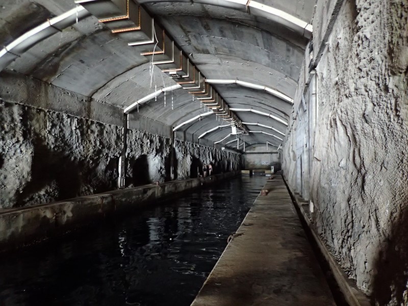 Tunnel per sottomarini, Montenegro