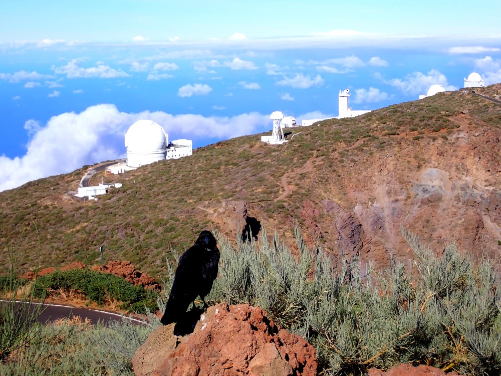 L'osservatorio di La Palma