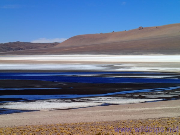 Altopiano of Atacama