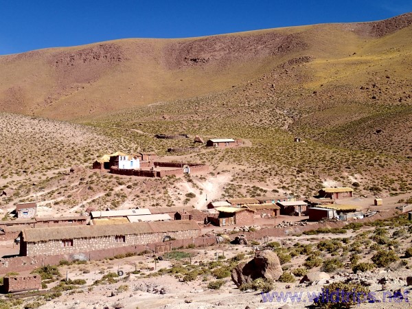 Villaggio in Atacama