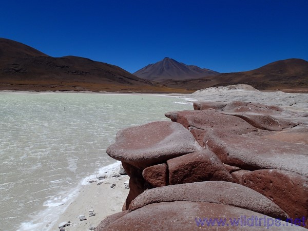 Piedras Rojas, Atacama