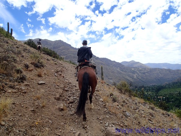Riding a horse in the Cajon del Maipo, Chile