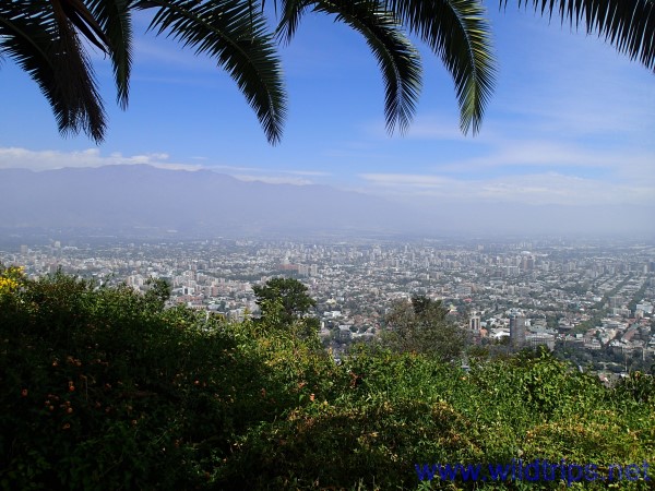 Vista di Santiago del Cile