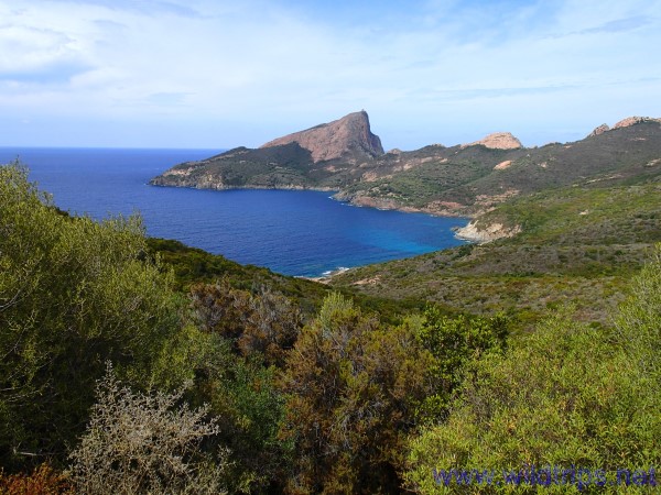Panorama presso Piana, Corsica occidentale