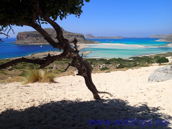 Spiaggia di Balos, Creta
