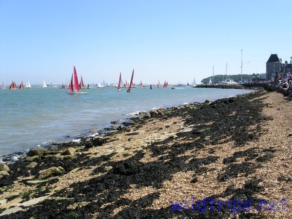 Isle of Wight - Cowes