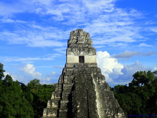 Mayan temple at Tikal, eastern Guatemala