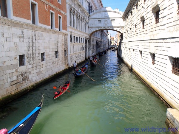 Venezia e Ponte dei Sospiri in canoa
