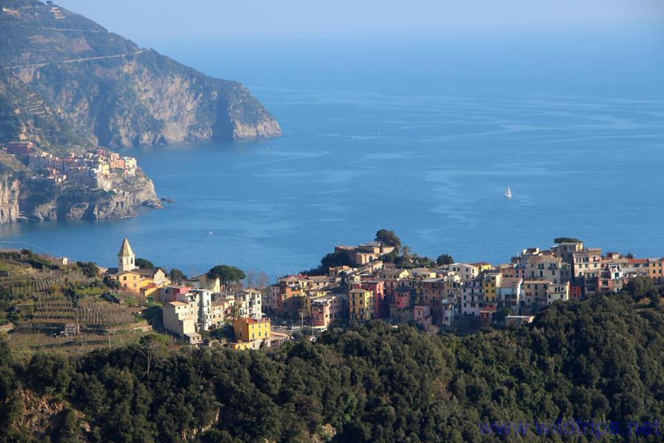 Trekking to Cinque Terre, Liguria