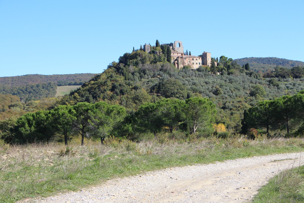 Il castello di Montelifré