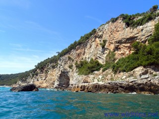 Portovenere and Palmaria, Tino and Tinetto by kayak, Liguria