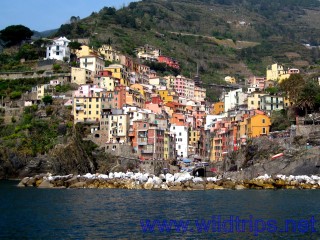 Riomaggiore: Cinque Terre by kayak, Liguria