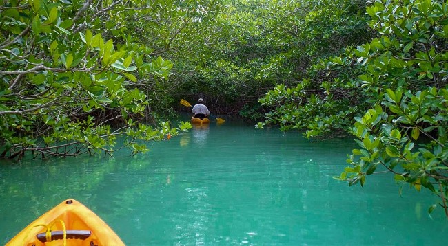 Florida Keys by kayak