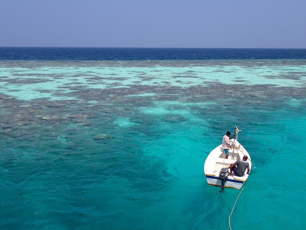Barriera corallina alle Maldive