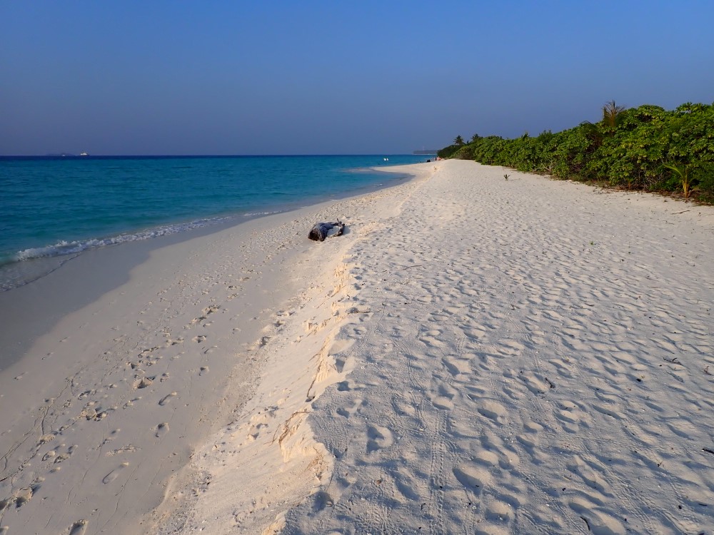 spiaggia bianca alle Maldive