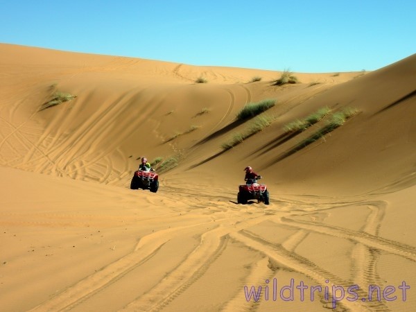 Merzouga Desert Quad