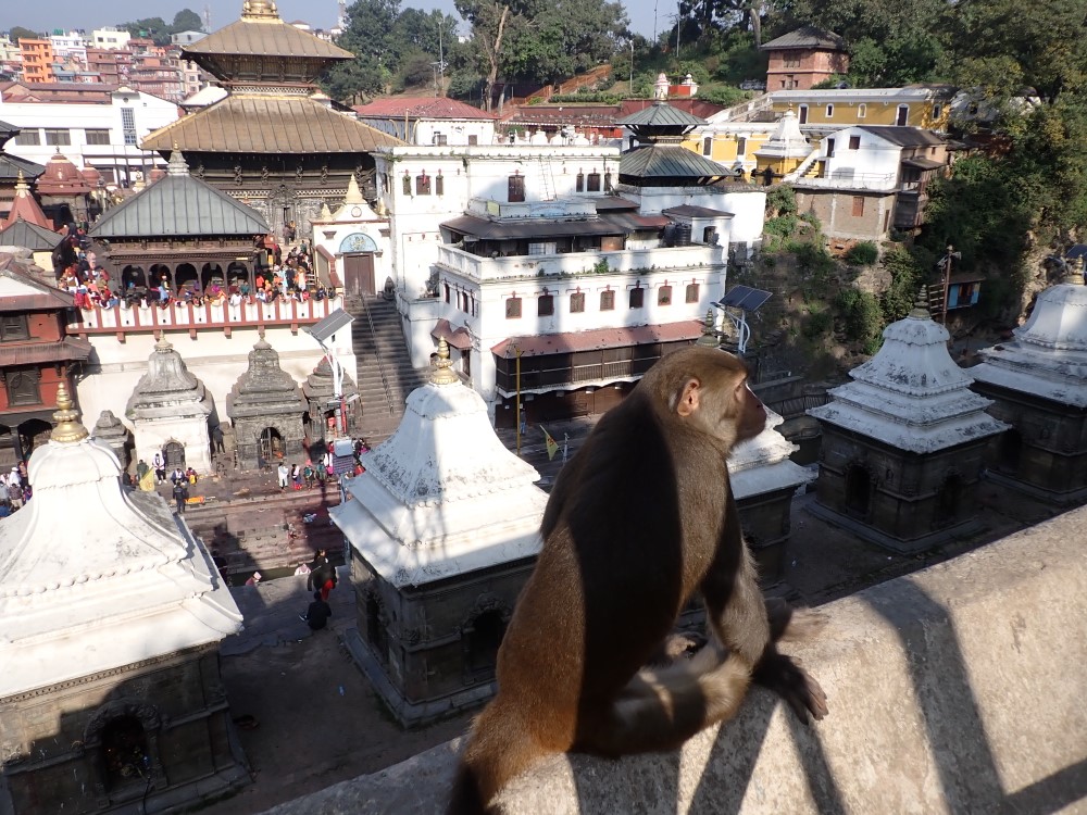 Il tempio Pashupatinath a Kathmandu