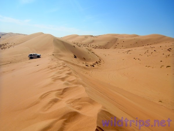 Al Sharqiya Sands desert, Oman