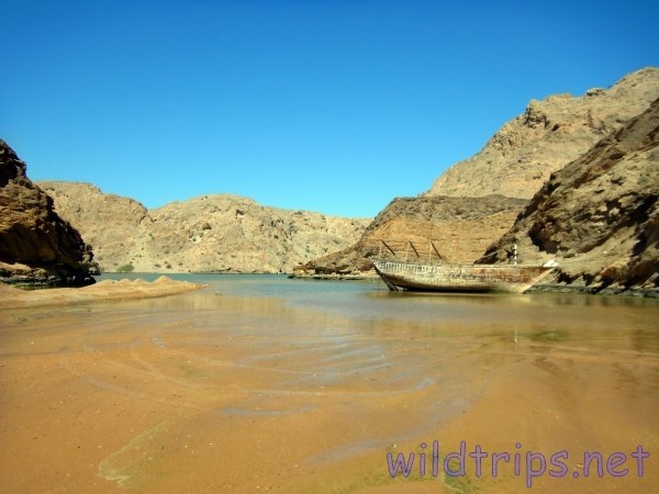 Oman, spiaggia e relitto
