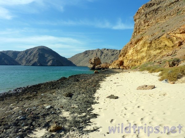 Oman spiaggia